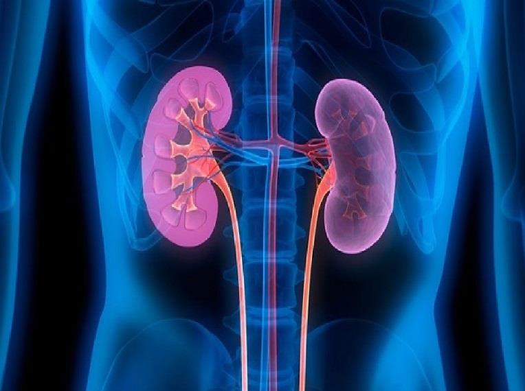  (Phần 1) TINH KHÍ CỦA THẬN ĐẦY ĐỦ MỚI CÓ THỂ TRƯỜNG THỌ
