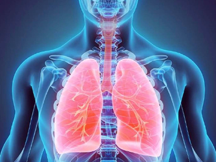 CÁCH THẢI ĐỘC CHO PHỔI