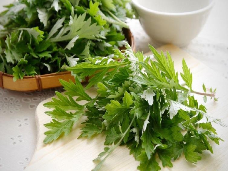 MỘT SỐ BÀI THUỐC CHỮA BỆNH KHỚP TỪ NGẢI CỨU