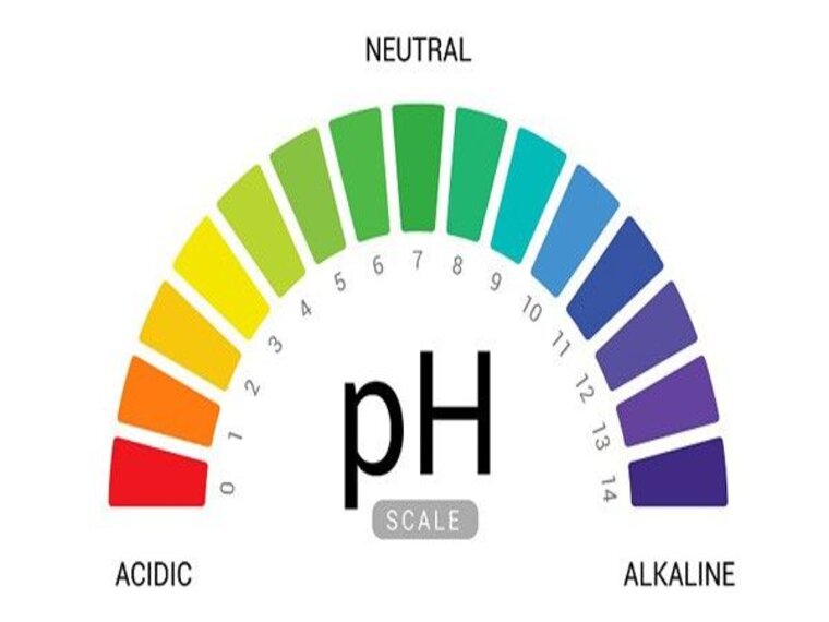 AXIT – KIỀM , CHỈ SỐ QUAN TRỌNG TRONG CƠ THỂ