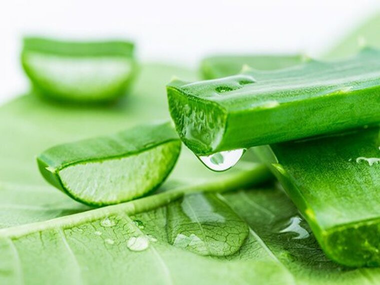 NHỮNG BÀI THUỐC CHỮA VIÊM ĐẠI TRÀNG ĐƠN GIẢN DỄ ÁP DỤNG