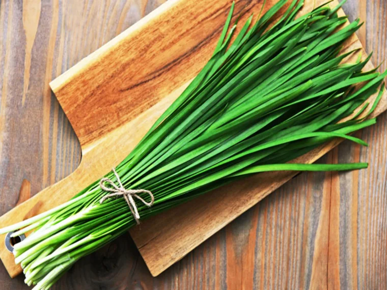 LÁ HẸ LONG ĐỜM, CHỐNG DỊ ỨNG RẤT TỐT CHO BỆNH NHÂN UNG THƯ PHỔI, HEN PHẾ QUẢN