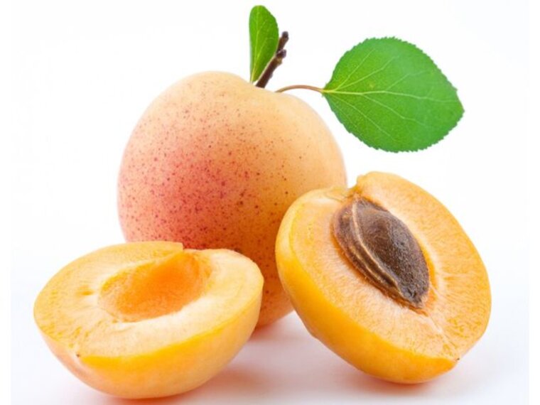 QUẢ MƠ – SIÊU KIỀM VÀ NÂNG MIỄN DỊCH